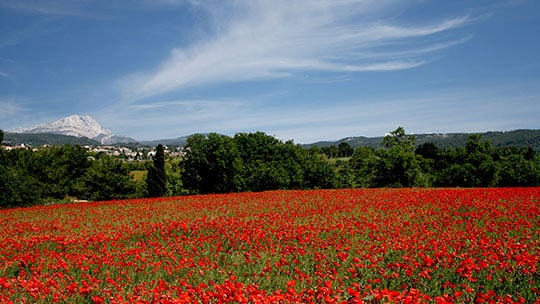 Locations vacances luberon